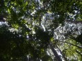Tn 0204 DSC 5509